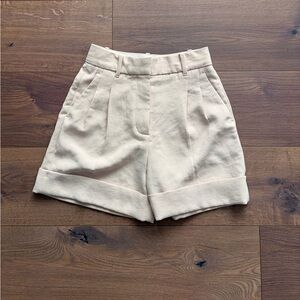 Aritzia Dressy Shorts